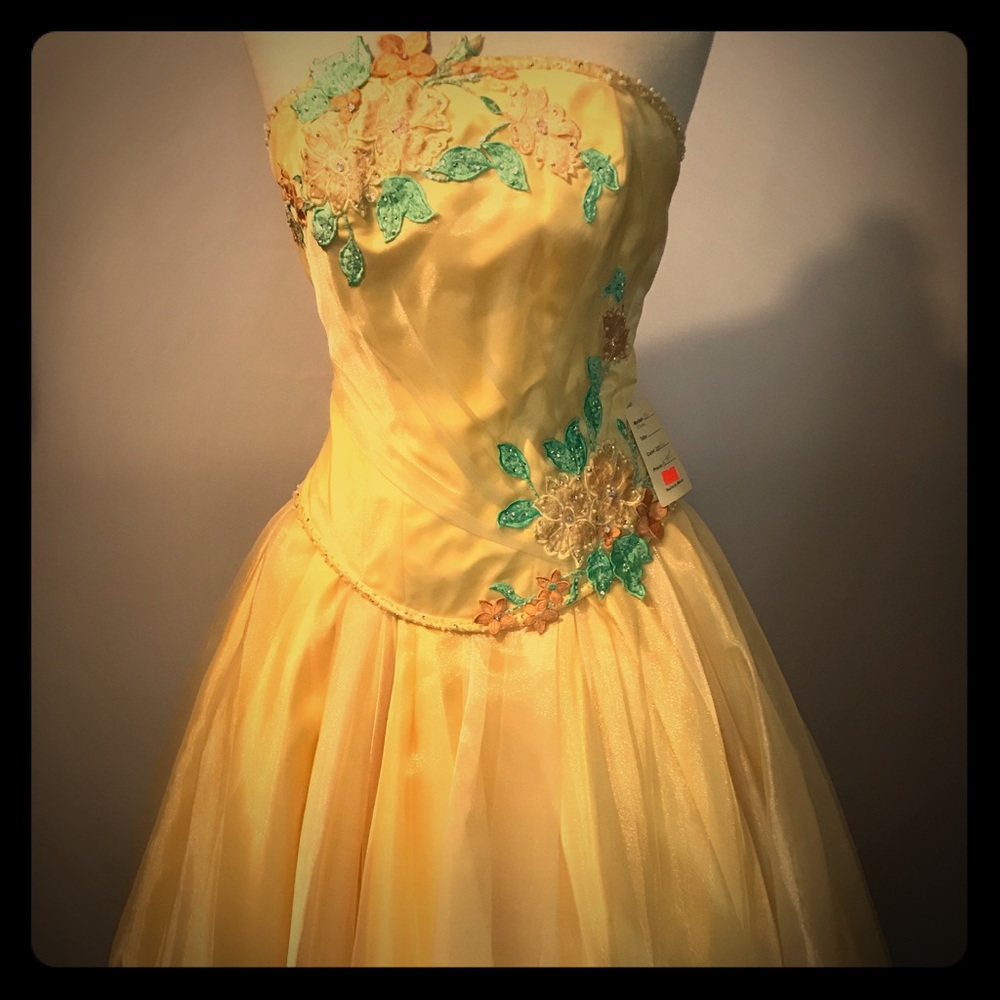 Quinceañera/ Prom Dress